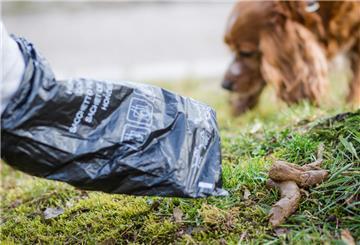 Ein Mann greift auf einer Wiese mit einem Hundekotbeutel nach einem Hundehaufen.