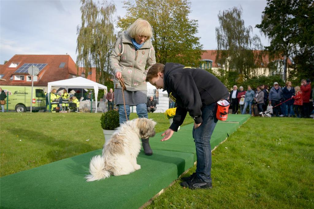 Hundeschau in Bad Bederkesa. Foto: Schimanke-f
