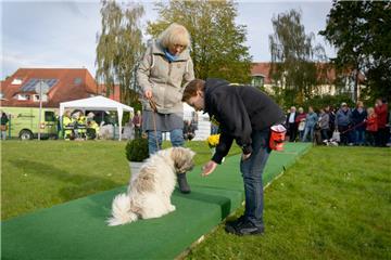 Hundeschau in Bad Bederkesa. Foto: Schimanke-f