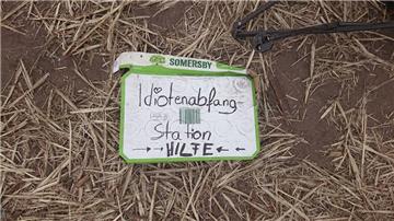 Idiotenabfangstation - ob das beim Deichbrand klappt? Foto: Klein