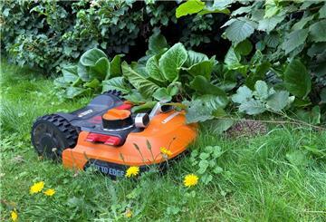 Das Foto zeigt, wie ein Mähroboter einen Igel bedrängt. 