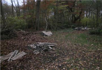 Illegale Entsorgung von Eternit-Asbestplatten im Wald.