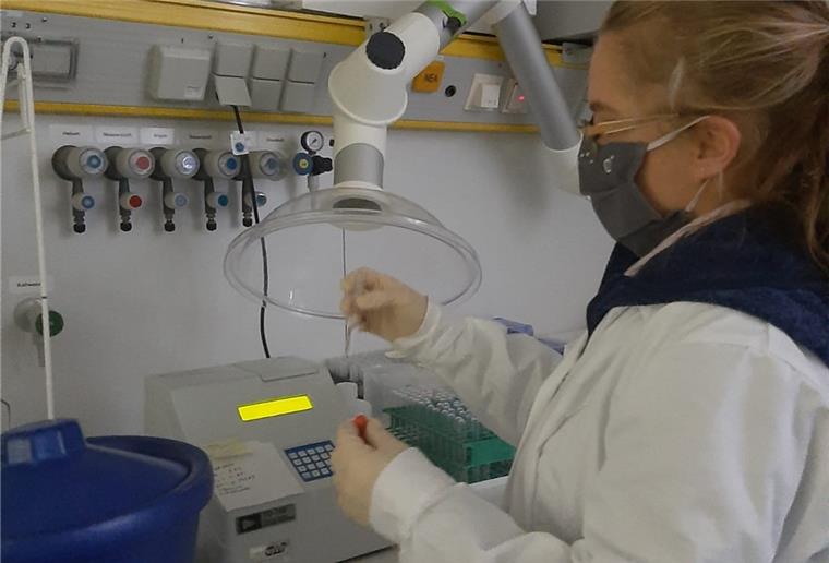 Im Alfred-Wegener-Institut ist die Aufbereitung der Algen-Proben von der „MOSAiC“-Expedition angelaufen.