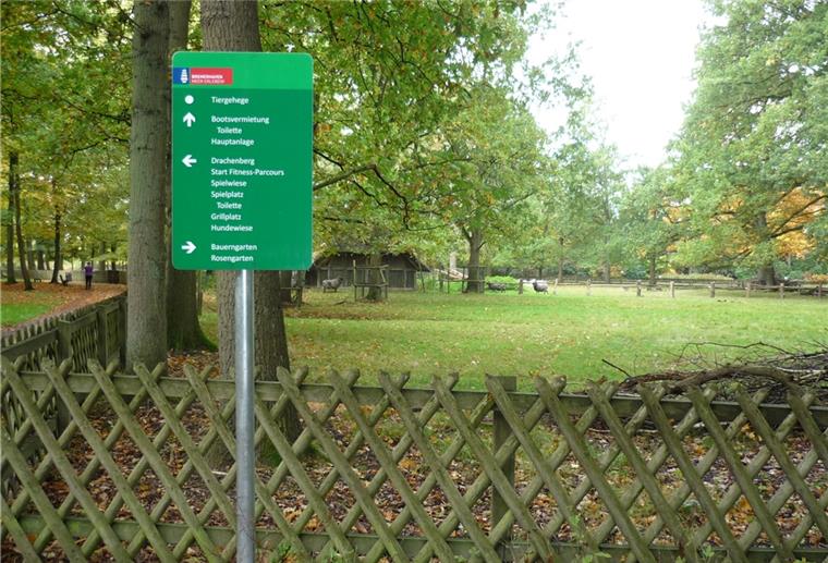 Im Bürgerpark muss der Baumbestand an den KLimawandel angepasst werden.