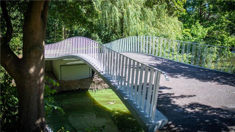 Im Bürgerpark soll der Baumbestand umgebaut werden. Die neuen Bäume sollen besser mit Trockenheit und Hitze umgehen können.  Foto: Hartmann