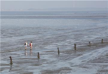 Im Februar will ein Evaluationsteam durch Kommunen reisen, die als sogenannte Biosphärengemeinden Teil des Biosphärenreservats werden wollen - darunter auch die Stadt Cuxhaven.