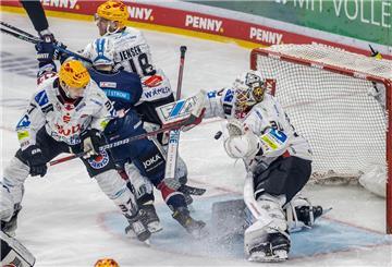 Im Finale treffen die Fischtown Pinguins in dieser Woche auf die Eisbären Berlin. 