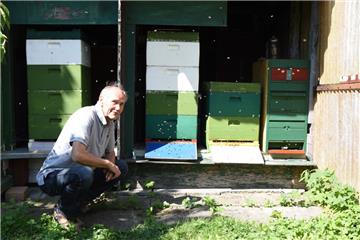 Im Garten von Erisch Schwaß gibt es seit knapp 100 Jahren Bienen