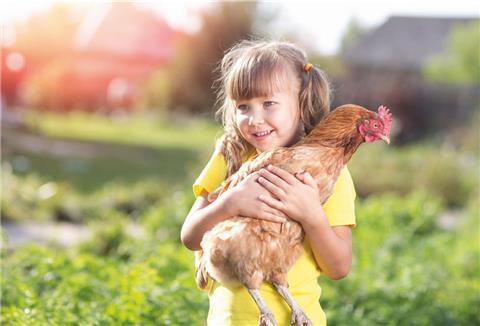 Mädchen mit Huhn auf dem Arm 