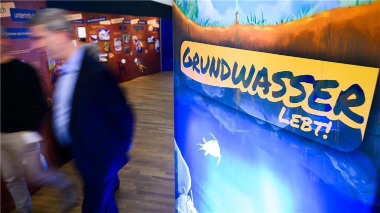 „Grundwasser lebt“ - Ausstellung zeigt Borstenwürmer & Co. Im Grundwasser leben rund 500 Tierarten.