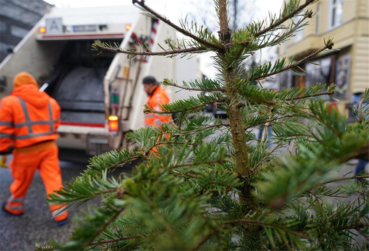 Bremerhaven: An diesen Tagen werden Weihnachtsbäume abgeholt Ein Weihnachtsbaum steht zur Entsorgung durch die Stadtreinigung am Straßenrand