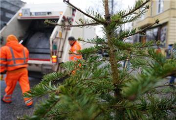 Ein Weihnachtsbaum steht zur Entsorgung durch die Stadtreinigung am Straßenrand