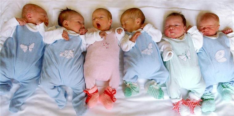 Babyboom in Reinkenheide