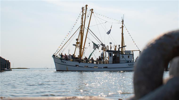 Statt „Sommerabend am Meer“: Das können Sie am Wochenende im Cuxland erleben