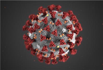 Im Landkreis Rotenburg leben aktuell mindestens 209 Menschen, die sich mit dem Coronavirus angesteckt haben. 
