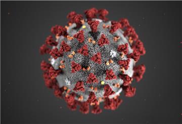 Im Landkreis Rotenburg leben aktuell mindestens 209 Menschen, die sich mit dem Coronavirus angesteckt haben. 