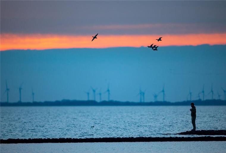 Im Nationalpark Niedersächsisches Wattenmeer beginnen bald die Zugvogeltage. (Archivbild)