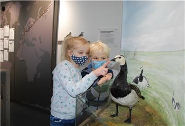 Im Nationalparkhaus und Museum Fedderwardersiel öffnet die Ausstellung wieder für Besucher.