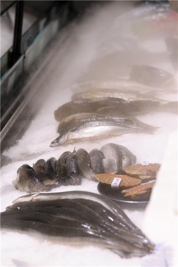 Im neuen Kühltresen wird der Fisch mit einem sehr feinen Nebel frisch gehalten.