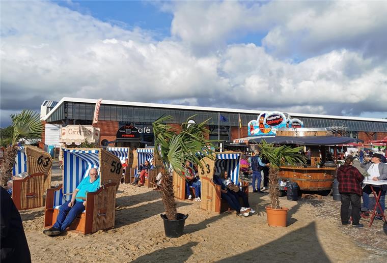 Strandkörbe mit Palmen