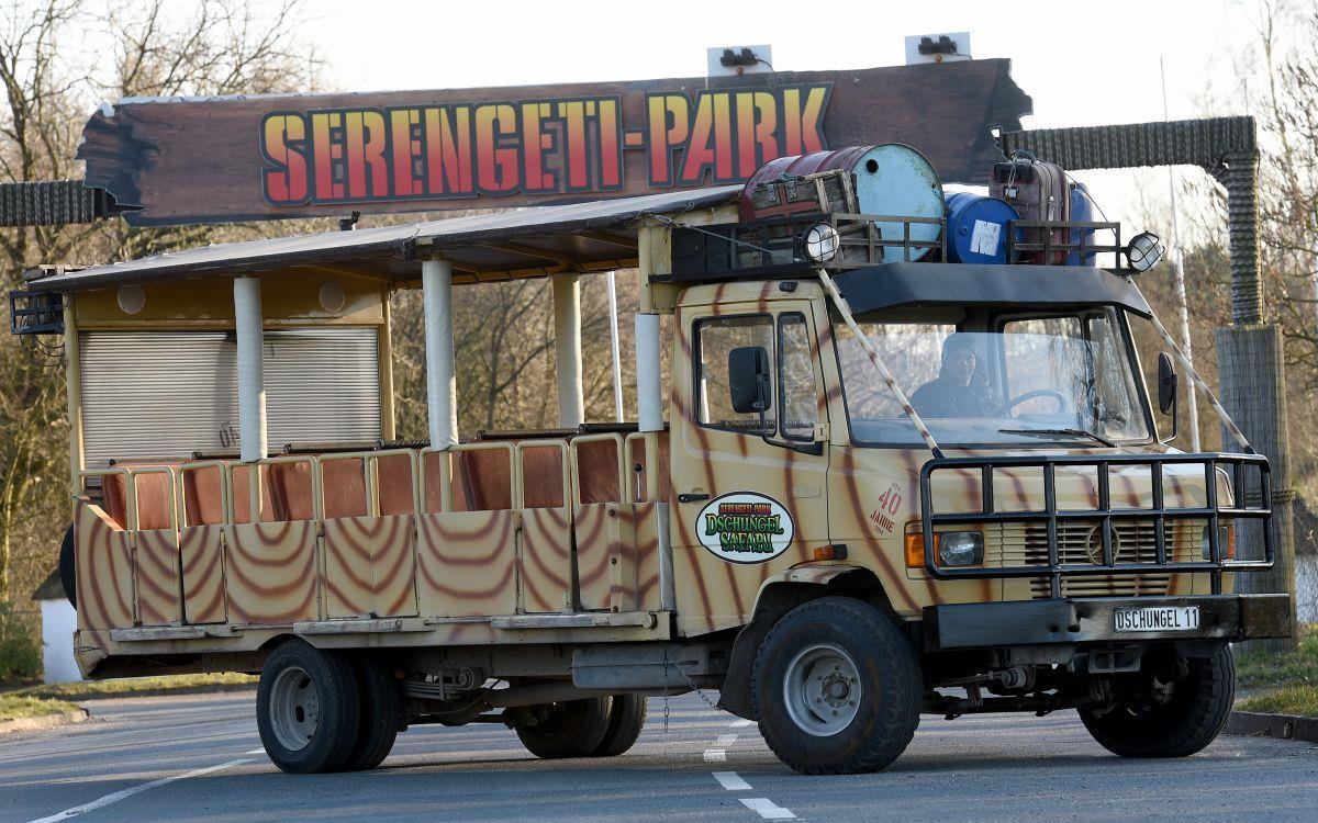 Im Serengeti-Park (Symbolfoto) in Hodenhagen ist eine Mädchen verletzt worden.