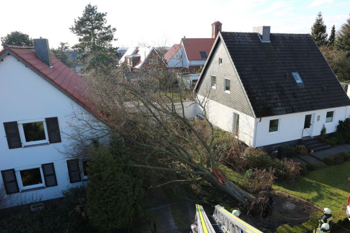 Im Sickviertel in Langen ist am Samstag ein Baum auf ein Haus gefallen.