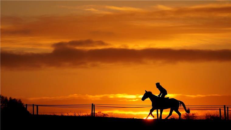 Im Sonnenuntergang reitet ein Pferd mit Reiter von rechts nach links.