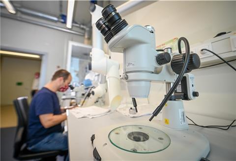 Im Thünen-Institut für Seefischerei darf wegen Corona nur eine Person pro Labor arbeiten.