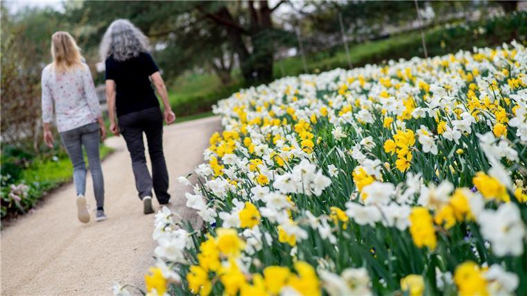 Buntes Blumenmeer im Ammerland - Park der Gärten blüht auf Im vergangenen Jahr verzeichnete der Park der Gärten einen Besucherrekord.