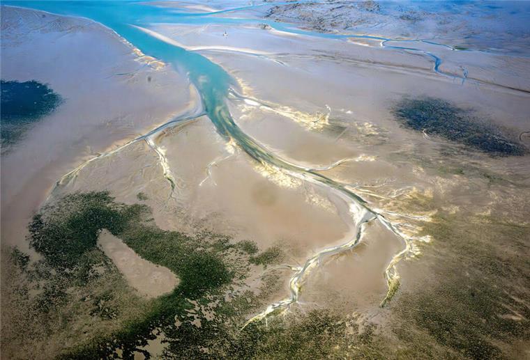 Das Luftfoto zeigt das Wattenmeer.  Im Wattenmeer der Nordsee schrumpfen viele heimische Arten – invasive gewinnen an Boden.