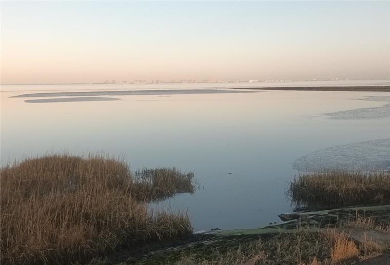 Begriffe der Küstenkinder Wattenmeer