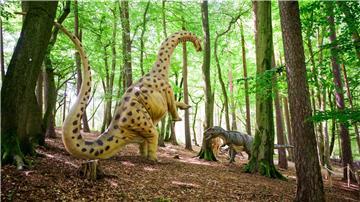 Im Wildpark Schwarze Berge können Besucher die Spuren der Dinosaurier verfolgen. 