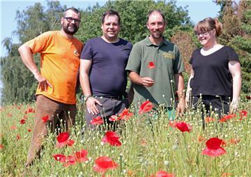 Imker Markus Roose (von links), Mitarbeiter Daniel Will, Gärtner Torsten Brunkhorst und Imkerin Annika Roose haben eine respektvolle Zusammenarbeit aufgebaut. 
