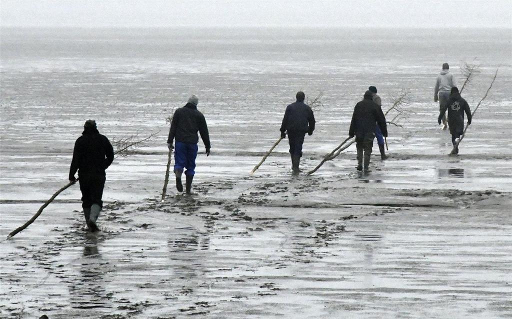 Immer am Priel entlag zog sich die Schlange der Prickenstecker. - Foto: Ulich