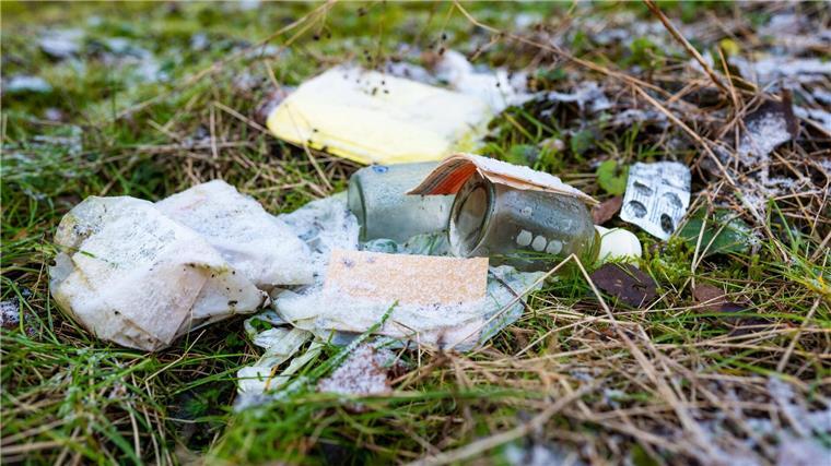 Illegale Müllkippen im Wald: Verbände sind besorgt Immer mehr Müll findet sich in den niedersächsischen Wäldern. Naturschützer sind besorgt. (Archivfoto)