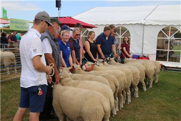 Impressionen der Tierschau 2019 in Stollhamm.