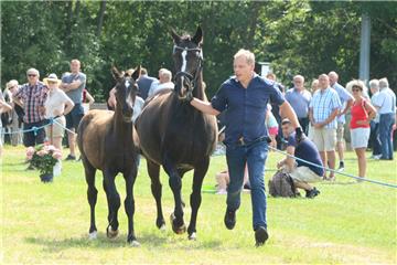 Impressionen der Tierschau 2019 in Stollhamm.