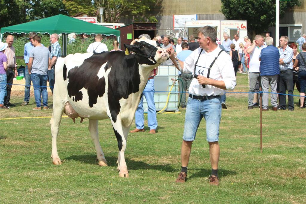Impressionen der Tierschau 2019 in Stollhamm.