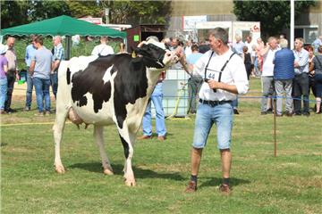 Impressionen der Tierschau 2019 in Stollhamm.