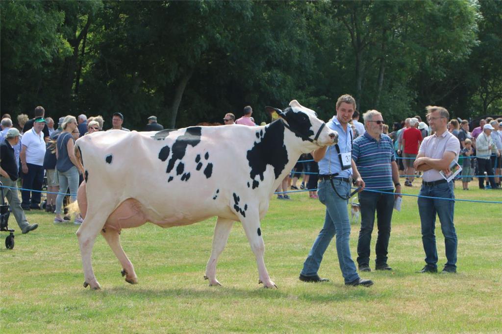 Impressionen der Tierschau 2019 in Stollhamm.