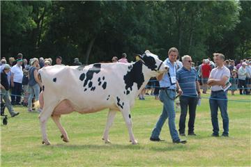 Impressionen der Tierschau 2019 in Stollhamm.