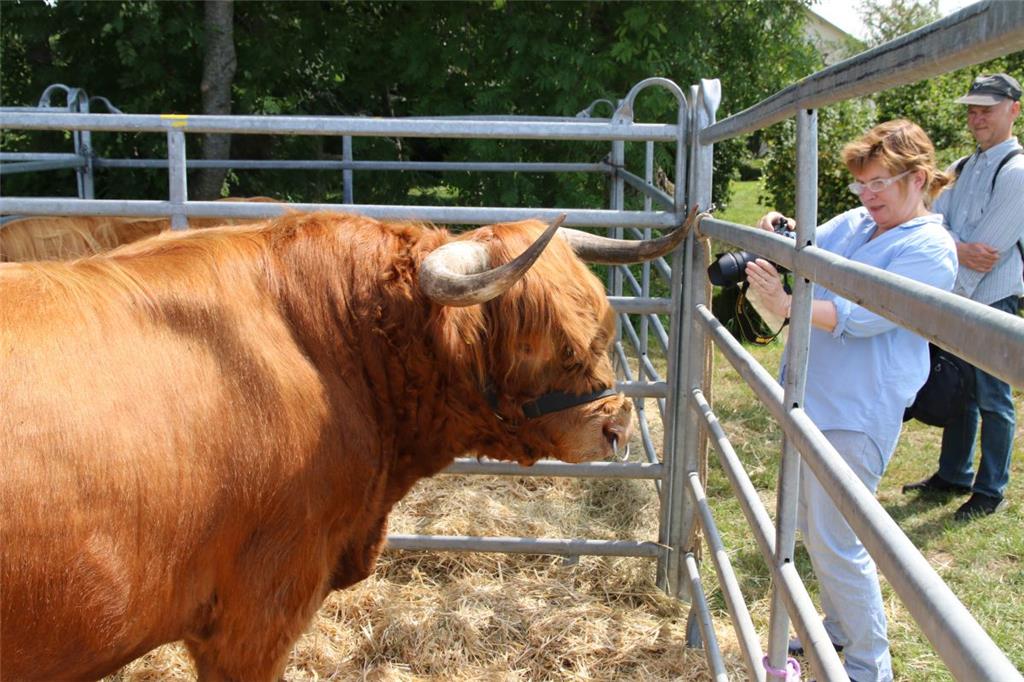 Impressionen der Tierschau 2019 in Stollhamm.