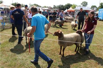 Impressionen der Tierschau 2019 in Stollhamm.