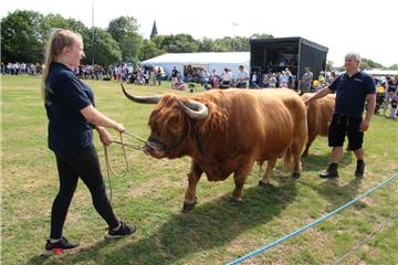 Impressionen der Tierschau 2019 in Stollhamm.