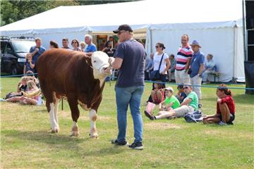 Impressionen der Tierschau 2019 in Stollhamm.