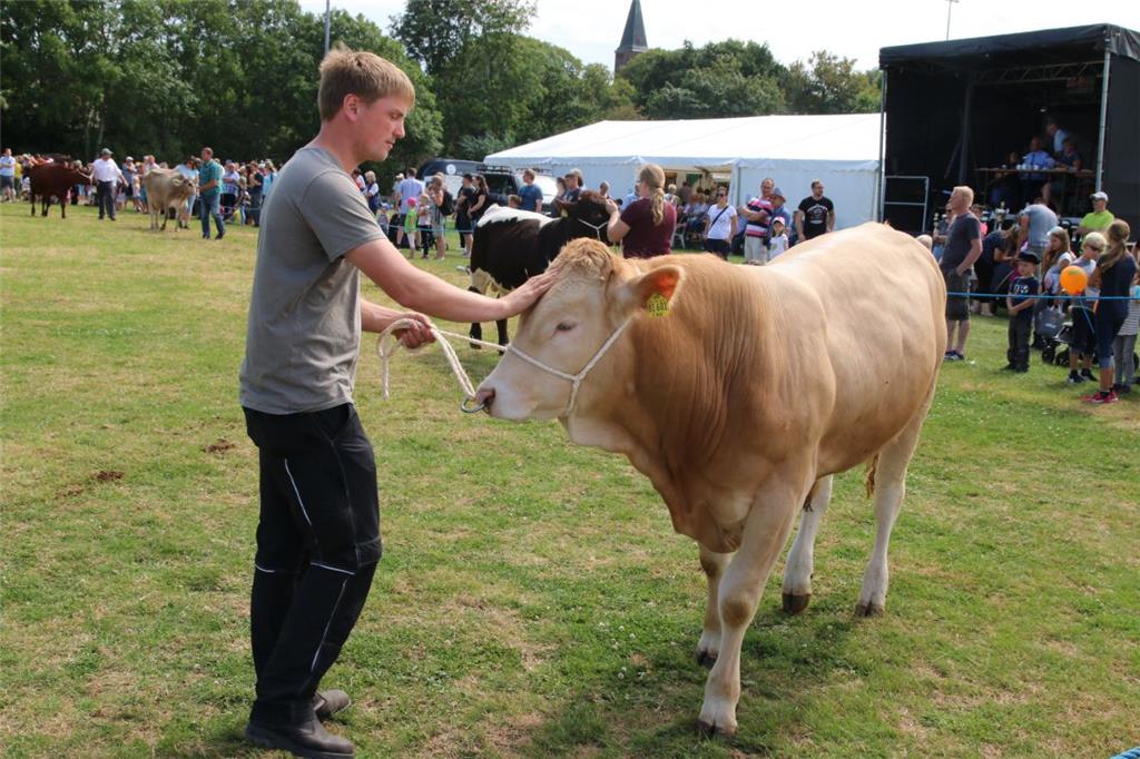 Impressionen der Tierschau 2019 in Stollhamm.