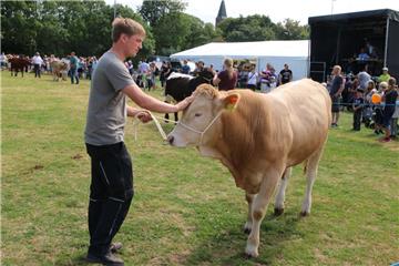 Impressionen der Tierschau 2019 in Stollhamm.