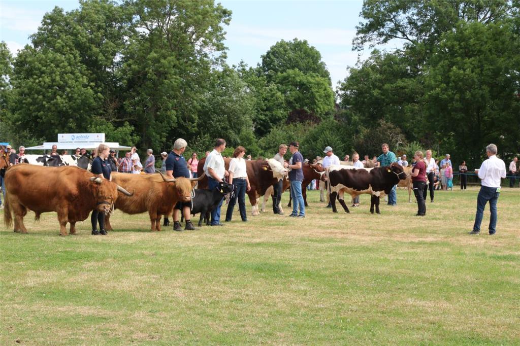 Impressionen der Tierschau 2019 in Stollhamm.