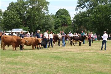 Impressionen der Tierschau 2019 in Stollhamm.