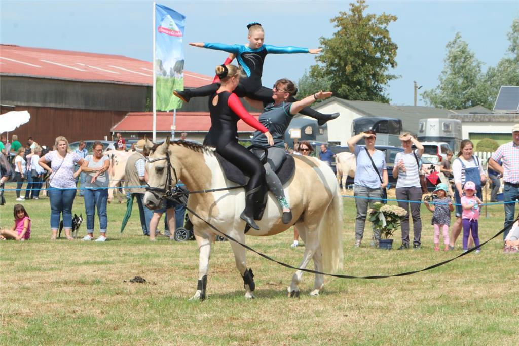 Impressionen der Tierschau 2019 in Stollhamm.
